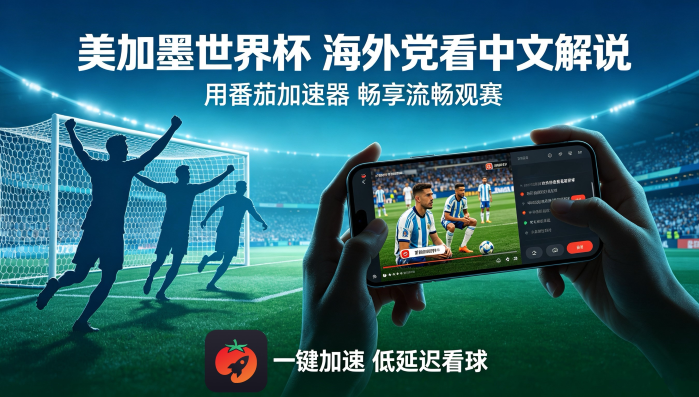 海外党怎么看动漫教程