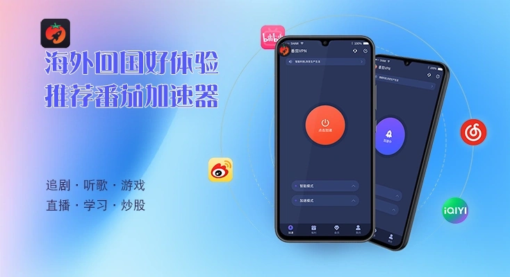 回国vpn 插件教程